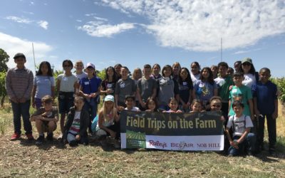 Raley’s Field Trips on the Farm – Ms. Torres