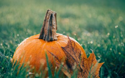 Pumpkins & the Origin of Jack O’Lanterns