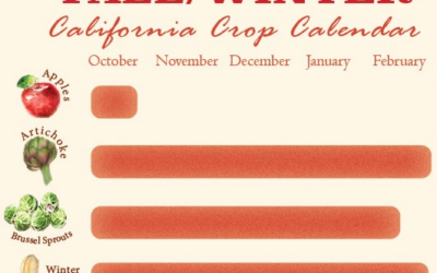 California produce: A seasonal guide to your fresh favorites